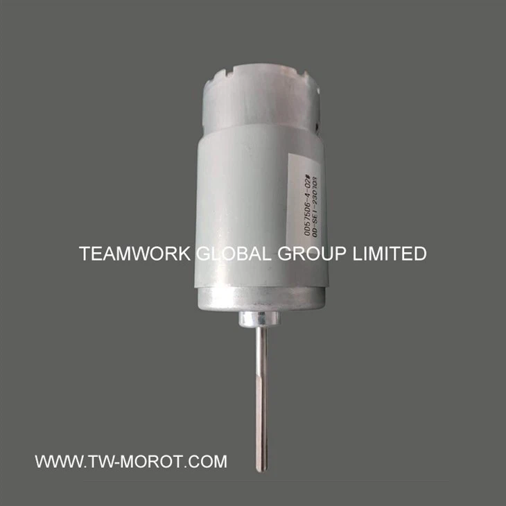Door Opener Motor