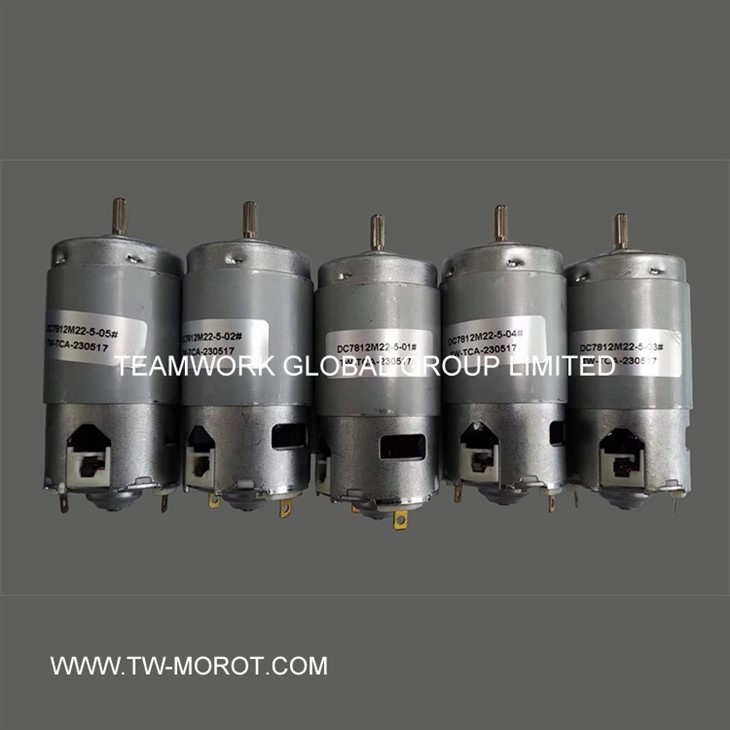 Electric Whisk Motor