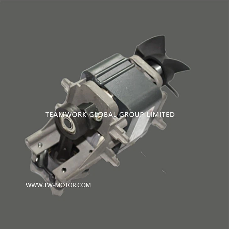 Medical Aspirator Motor