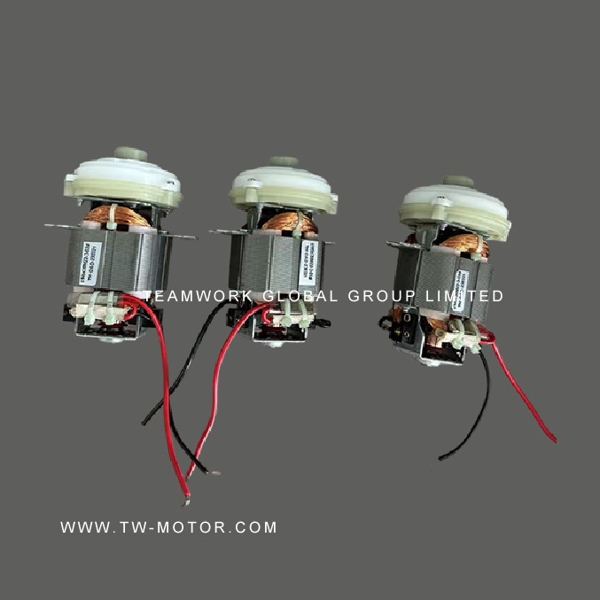 Professional Juicer Motor