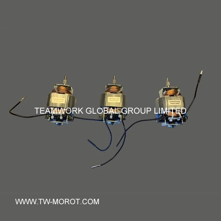 Universal Coffee Grinder Motor
