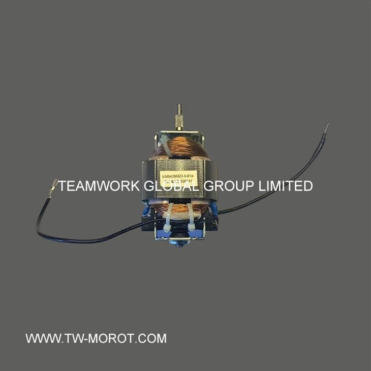 Universal Grinder Motor