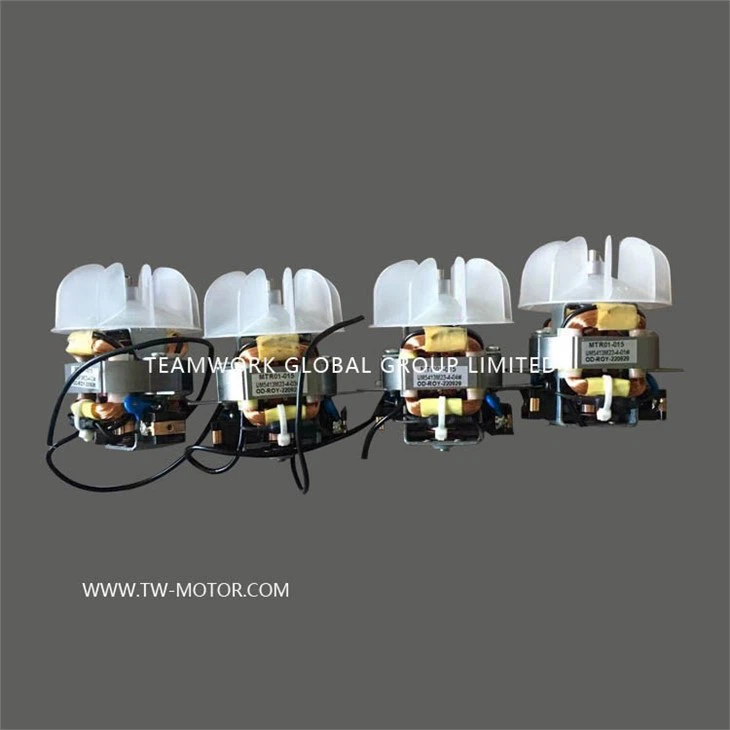 Universal Motor For Hair Dryer